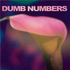 Dumb Numbers - Dumb Numbers