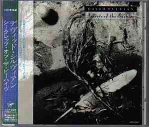 David Sylvian - Secrets Of The Beehive