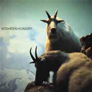 Kosheen - Hungry (Zed Bias Vocal)