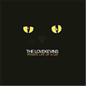 The Lovekevins - Private Life Of A Cat