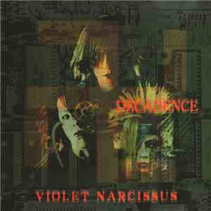 Violet Narcissus - Decadence