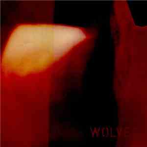 Wolves Of Isle Royale - Box Hum