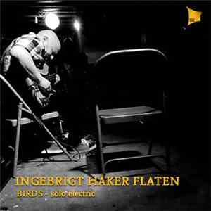 Ingebrigt Håker Flaten - BIRDS - Solo Electric