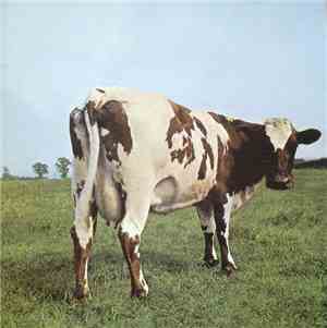 Pink Floyd - Atom Heart Mother