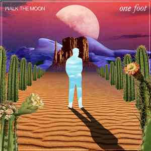 Walk The Moon  - One Foot