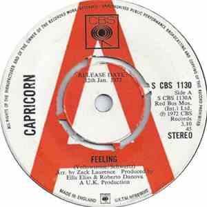 Capricorn  - Feeling