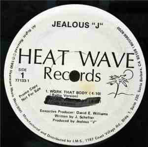 DJ Jealous J - Work That Body