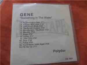 Gene - Something In The Water (Revelations)