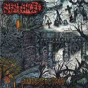 Sentenced - Shadows Of Past
