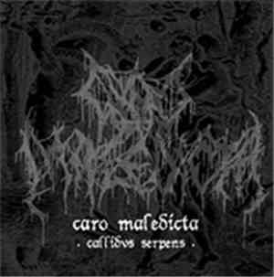 Caro Maledicta - Callidvs Serpens