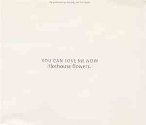 Hothouse Flowers - You Can Love Me Now