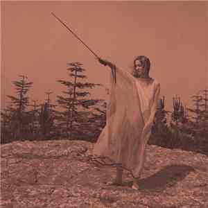 Unknown Mortal Orchestra - II