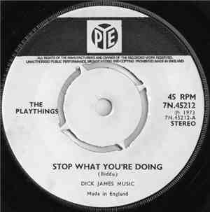 The Playthings - Stop What You're Doing