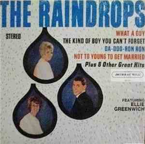 The Raindrops - The Raindrops