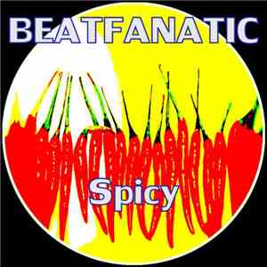 Beatfanatic - Fire & Pain