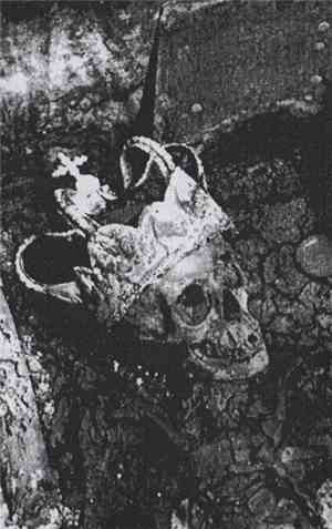 Breath Of Chaos - Blackness