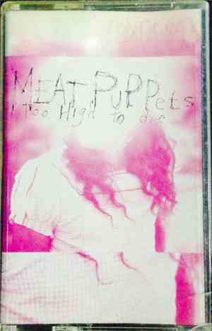 Meat Puppets - Too High To Die