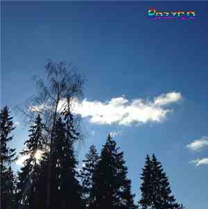 Razxca - Polygon Horns