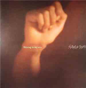 Scratch Massive - Shining In My Vein
