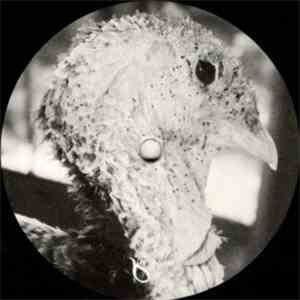 Dorisburg - Serum / Venom
