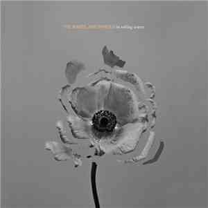 The Naked And Famous - In Rolling Waves