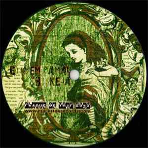 Various - Plaque De Trip 2030