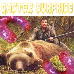 Castor Surprise - Grosse Tranche