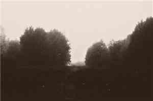 Coax  - The Buried Moon