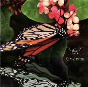 Ikue Mori - Class Insecta