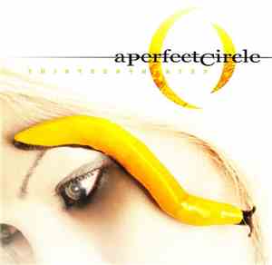 A Perfect Circle - Thirteenth Step