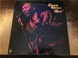 Muddy Waters - 