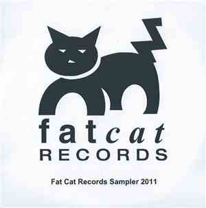 Various - Fat Cat Records Sampler 2011