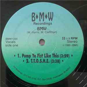 BMW (Black Mìcaphòn Weapons) - Pump Ya Fist Like This