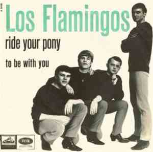 Los Flamingos - Ride Your Pony