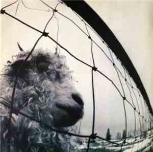 Pearl Jam - Vs