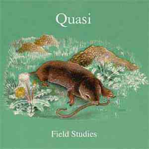 Quasi  - Field Studies