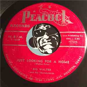 Big Walter And His Thunderbirds - Just Looking For A Home / You're The One I Need