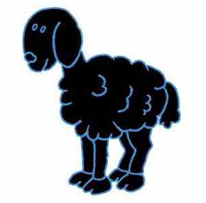 Darky Sheep - Comin' Through A Listeners Background