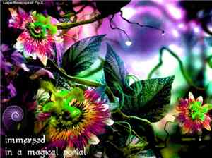 Logarithmic Spirall Fly-X - Immersed in a magical portal
