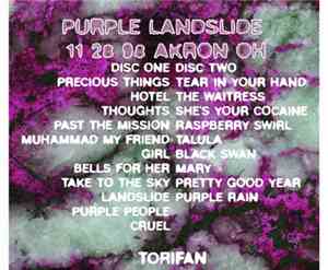 Tori Amos - Purple Landslide