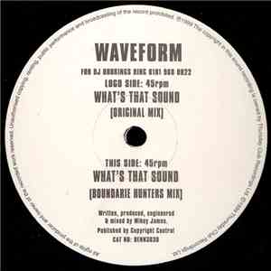 Waveform - What's That Sound