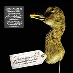 Organism 12 - Petar På Döda Saker Med Pinnar