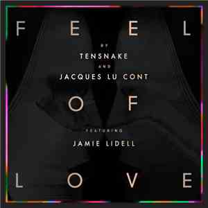 Tensnake And Jacques Lu Cont Featuring Jamie Lidell - Feel Of Love