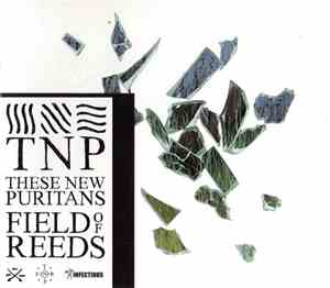 These New Puritans - Field Of Reeds