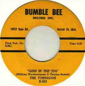 The Tornados  - Love In Your Life / Geni In The Jug