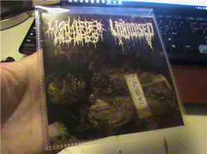 Liquidised, Liquified Insides - Liquified Insides - Liquidised