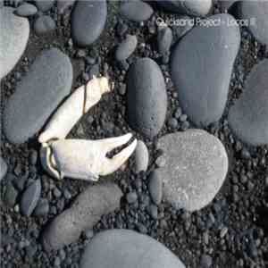 Quicksand Project - Loops III