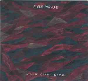 Field Mouse - Hold Still Life