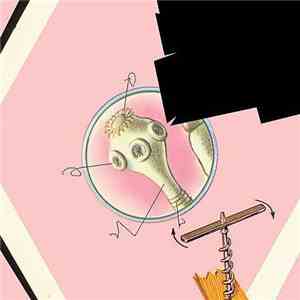 The Nein - Transitionalisms
