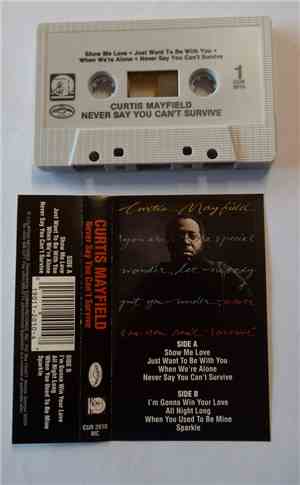 Curtis Mayfield - Never Say You Can't Survive
